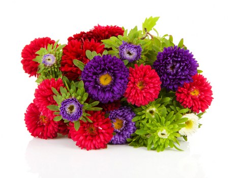 Eco-friendly flower farming practices