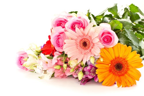 Close-up of vibrant tulips in a vase