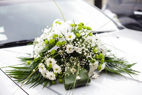 Same-day flower delivery ensuring freshness and timeliness.