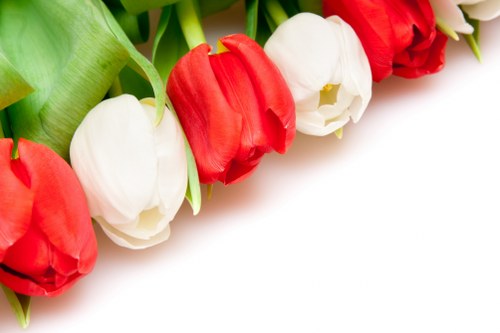 Expert florist arranging flowers in a studio
