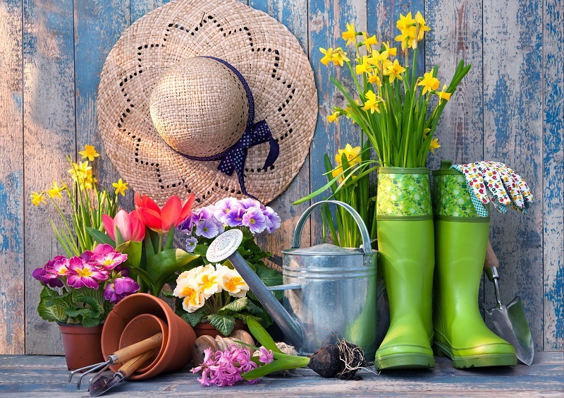 Efficient Flower Preservation Hacks to Try Right Now