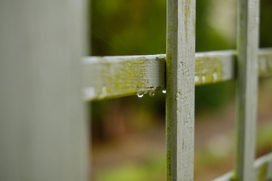 A close-up image of a weathered, white-painted wooden fence with a horizontal rail supported by vertical posts, showing subtle green moss and peeling paint. Tiny droplets of water cling to the lower e