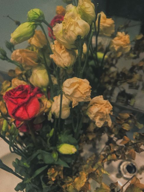 A close-up of withered tulips in various colors, including purple, yellow, and pink, arranged in a loosely grouped bouquet. The petals are crinkled and wilted, indicating aging and loss of freshness. 